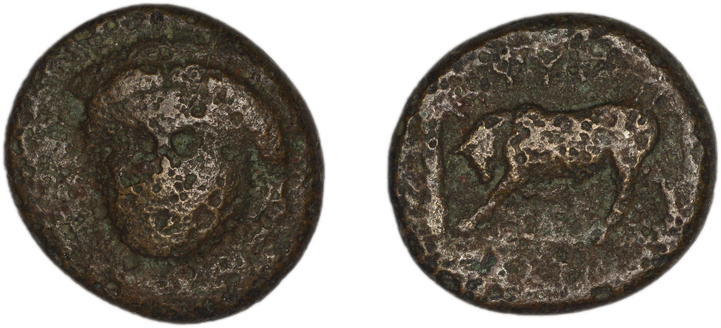Phygela Regling 1922 Group IV, аверс, bm