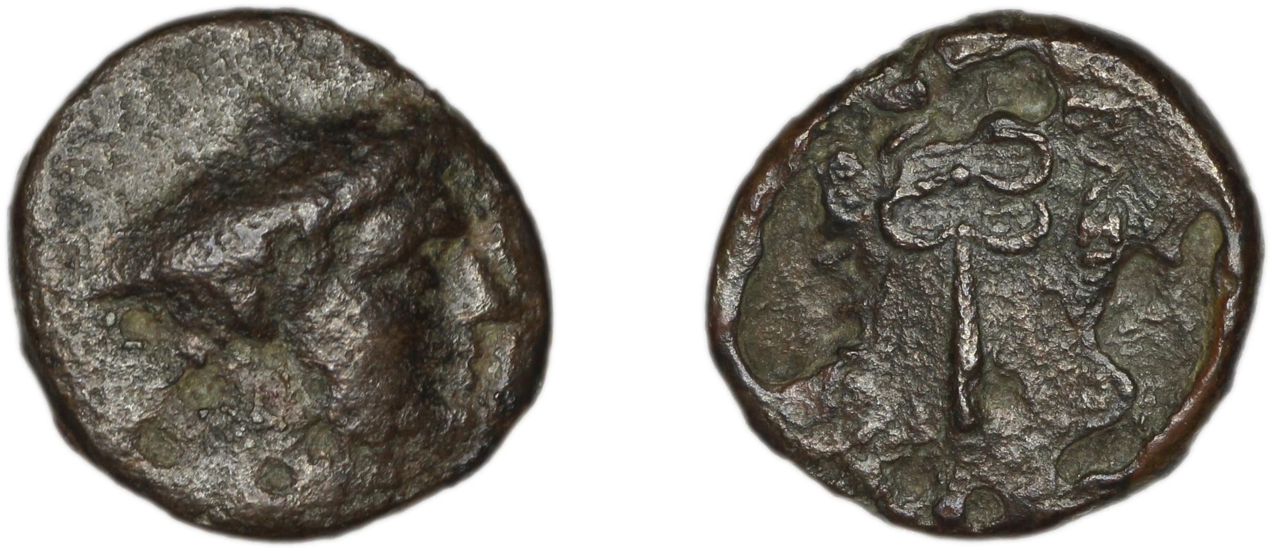 Prusias I of Bithynia Bithynia Waddington 1908 22-3, аверс, bm