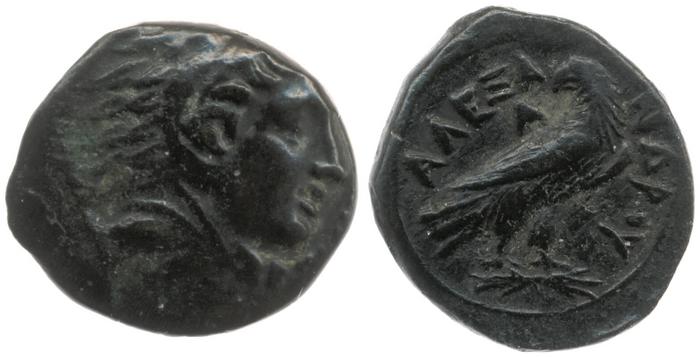 Price 160, реверс, bm