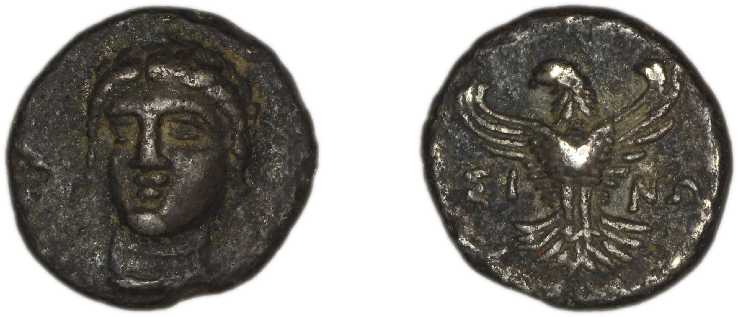 Sinope Waddington 1925 31, аверс, bm