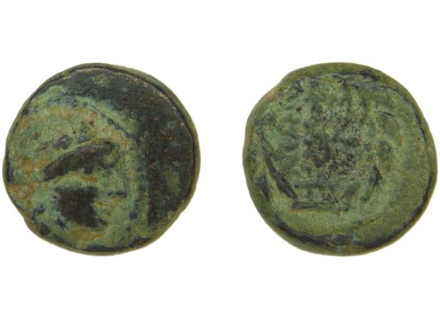 Sardis Hochard 2020 4.10, реверс, bm