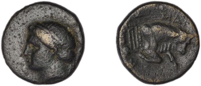 реверс Magnesia ad Maeandrum BMC Magnesia 17-18