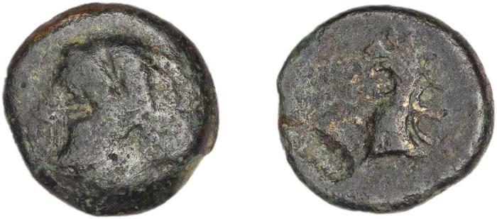 Phocaea BMC Phocaea 94-7, реверс, bm