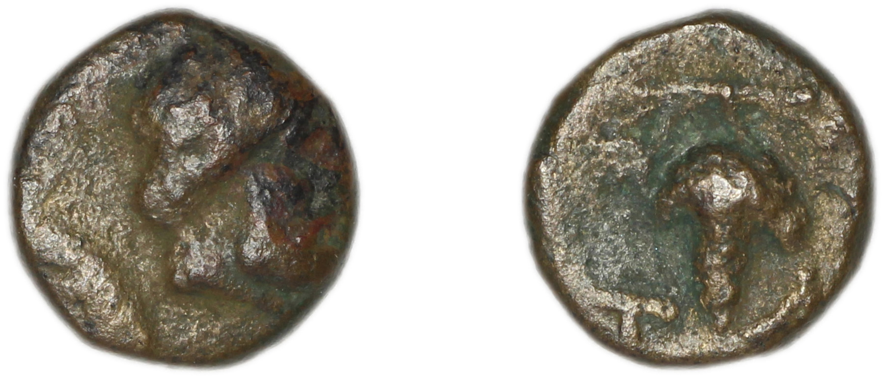 Temnus Babelon 1910 2073b, аверс, bm