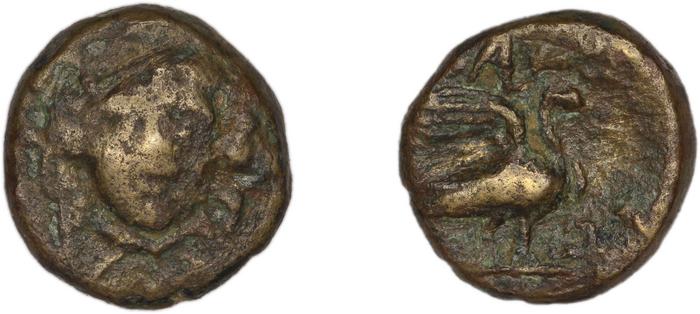 реверс Clazomenae Dengate 1967 IVP