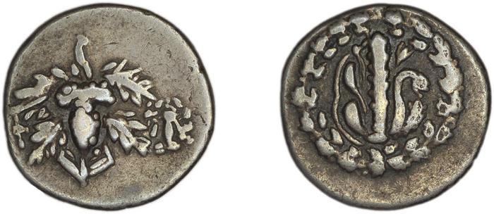reverse Ephesus Kleiner and Noe 1977 17 drachm