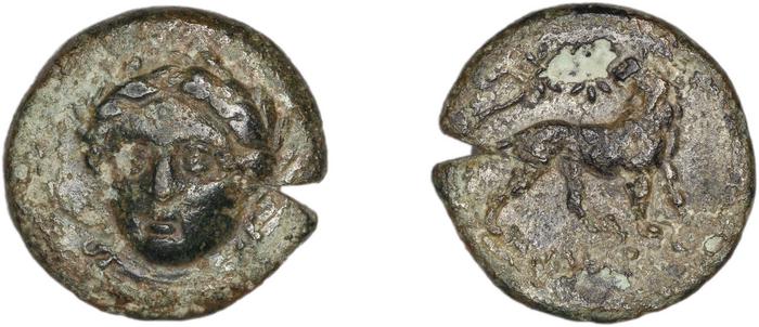 реверс Miletus Marcellesi 2004 33