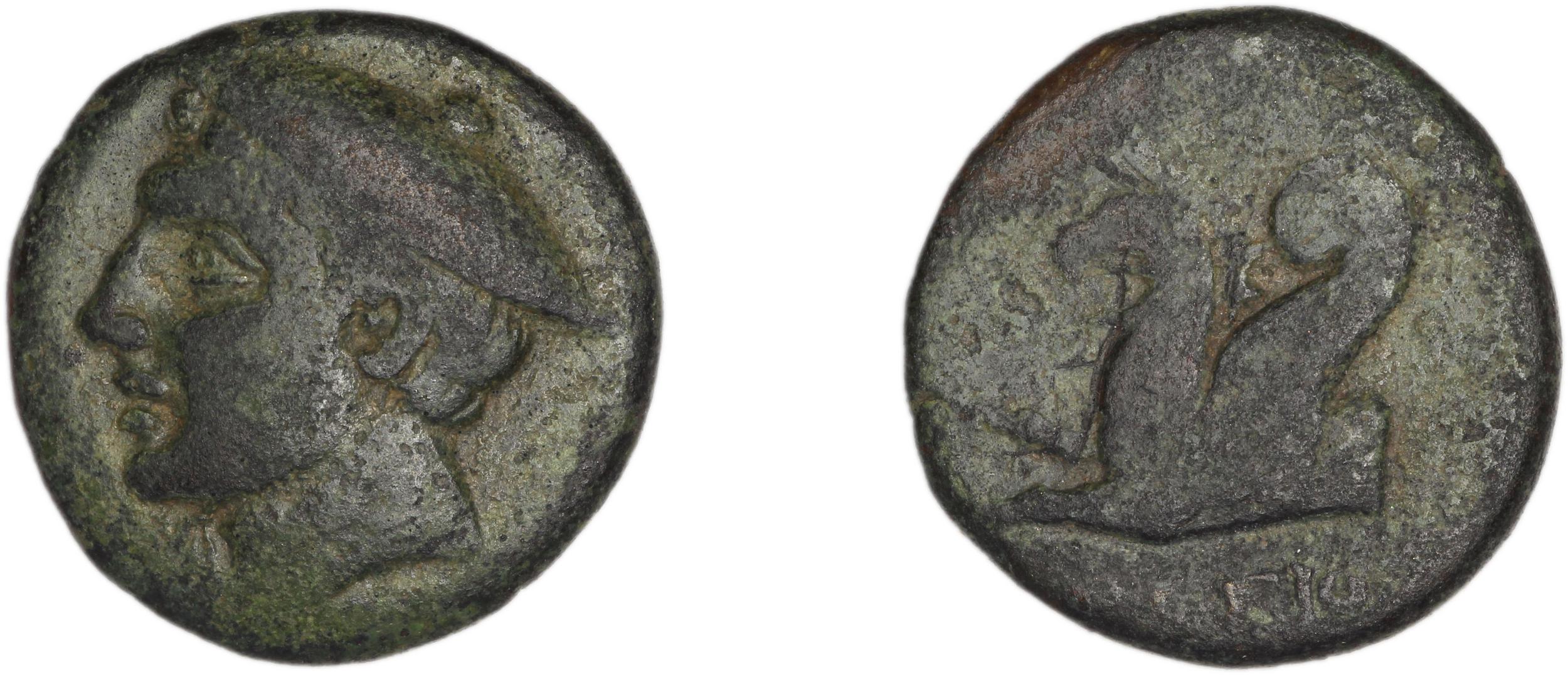 Phocaea BMC Phocaea 99-100, аверс, bm