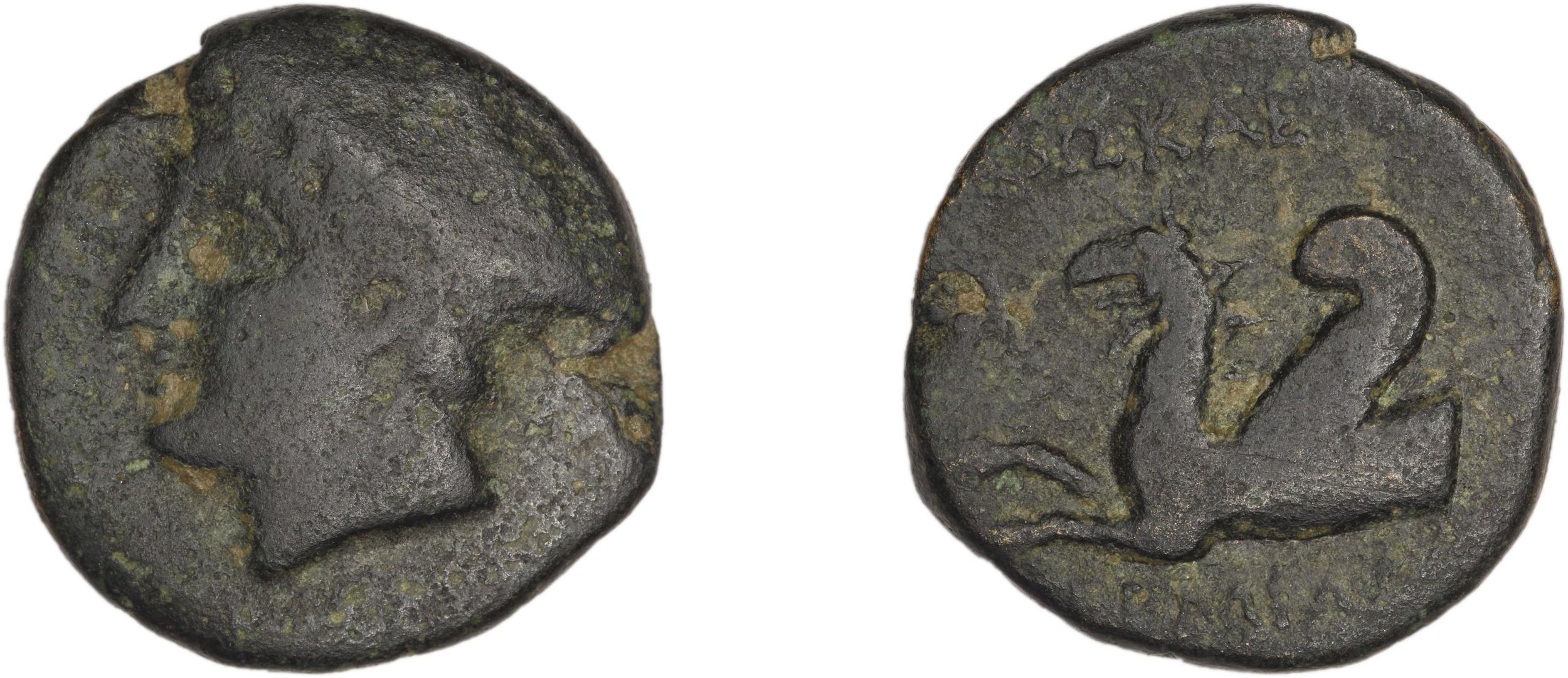 Phocaea BMC Phocaea 99-100, аверс, bm