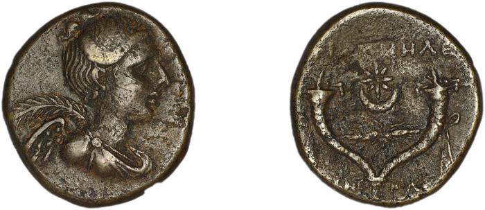 реверс Philomelium BMC Philomelium 3-6
