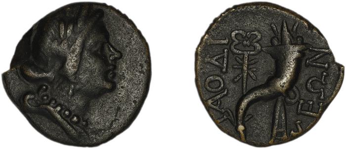Laodiceia ad Lycum BMC Laodiceia 40-3, реверс, bm