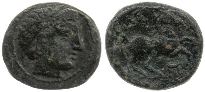 Price 344, реверс, bm