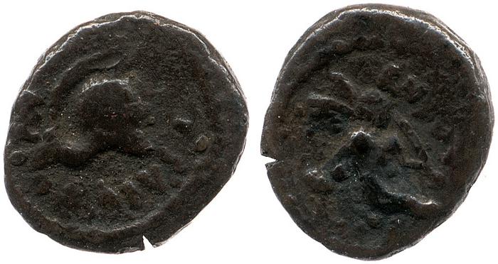 coin rev