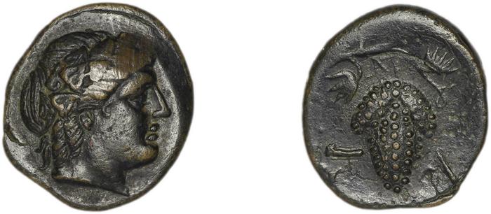 Temnus BMC Temnus 5, реверс, bm