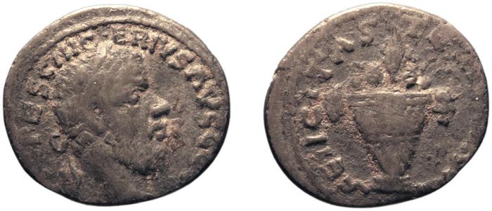 реверс RIC IV Pescennius Niger 17