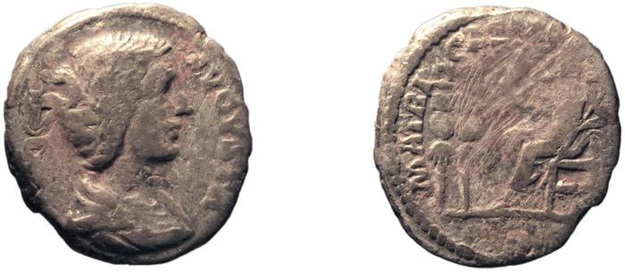 RIC IV Septimius Severus 568, реверс, bm