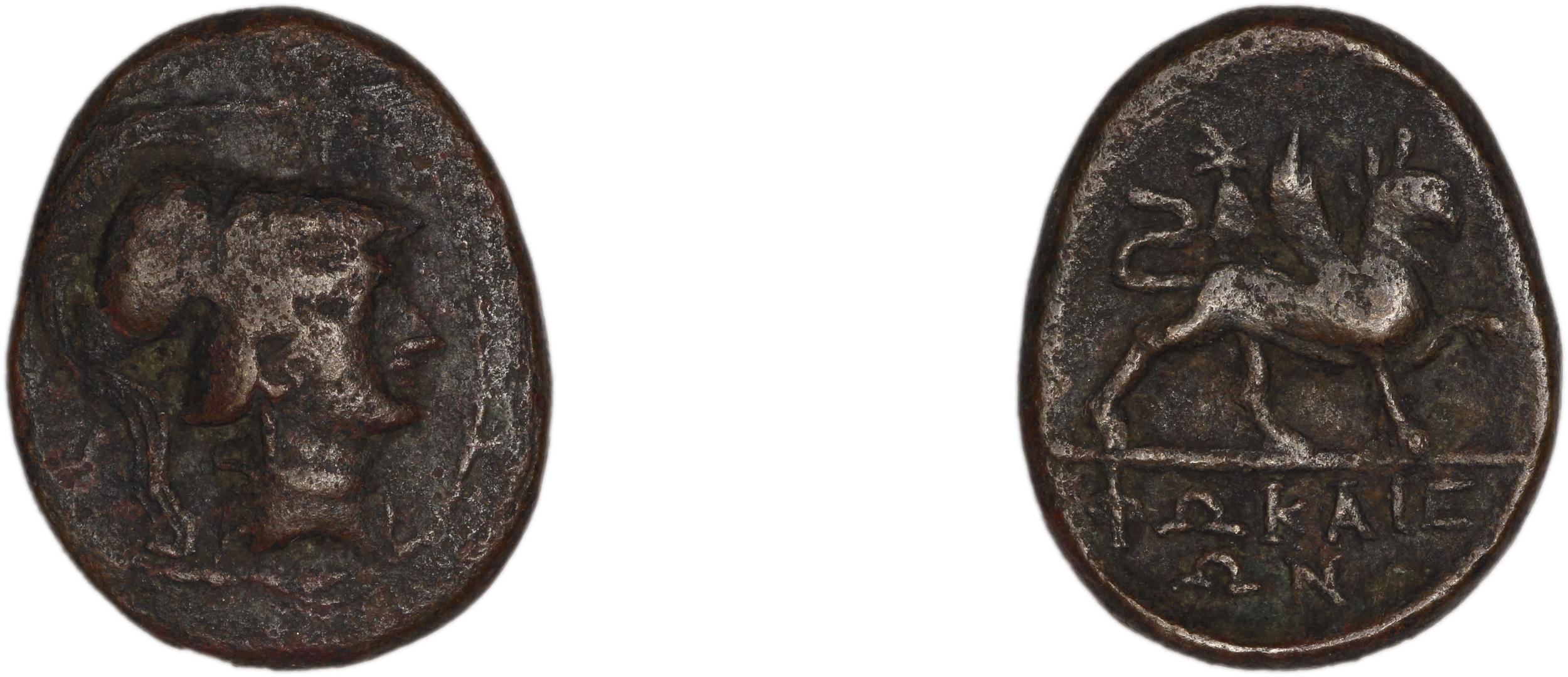 Phocaea BMC Phocaea 109-13, аверс, bm