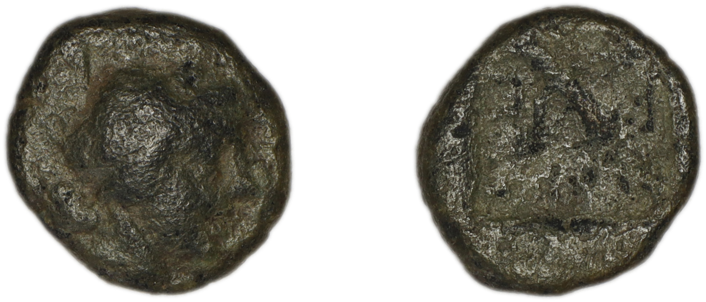 Lycian League Phellus Troxell 1982 3.72, аверс, bm