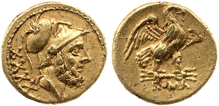 coin rev