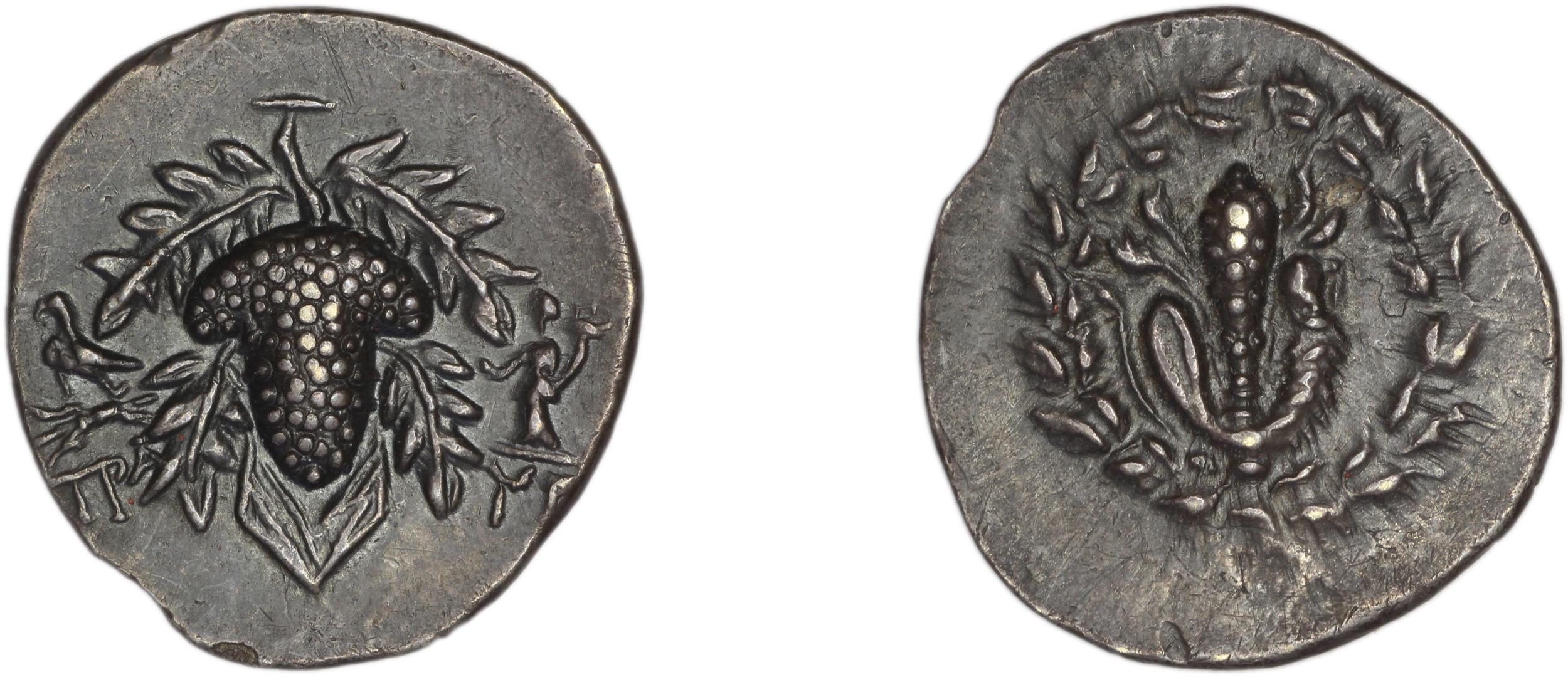 аверс Tralles Kleiner and Noe 1977 35, didrachms