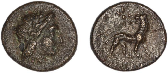 реверс Miletus Marcellesi 2004 10