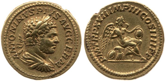 реверс RIC IV Caracalla 248