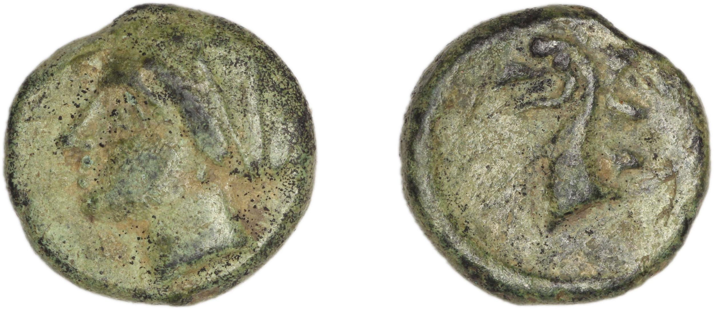 Phocaea BMC Phocaea 94-7, аверс, bm