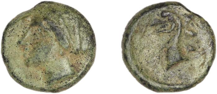 Phocaea BMC Phocaea 94-7, реверс, bm