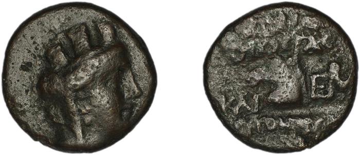 coin rev