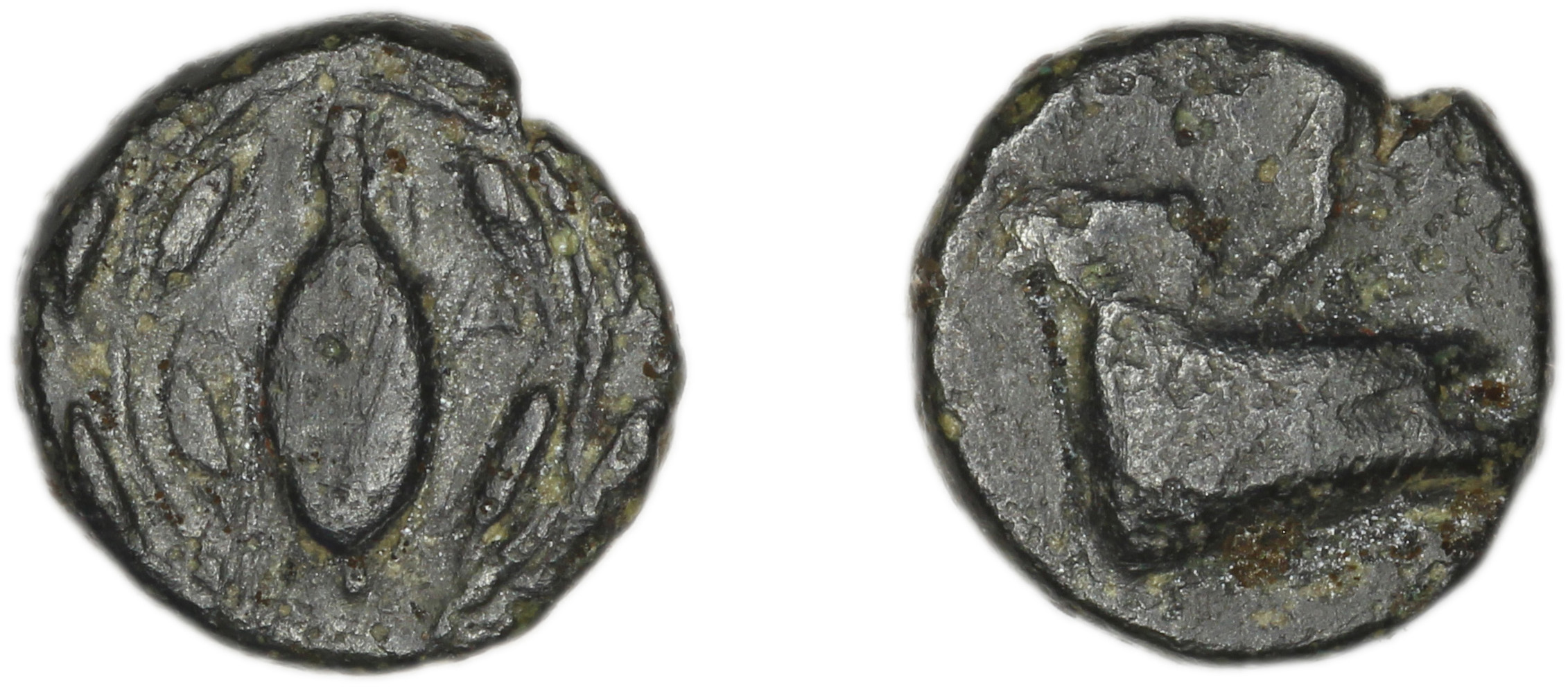 аверс Samos Barron 1966 Pl. xvii, AE