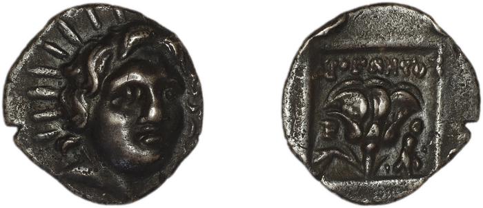 Rhodes Jenkins 1989 Group D hemidrachms, реверс, bm