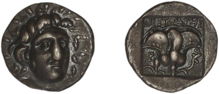Rhodes Jenkins 1989 Group B hemidrachms, реверс, bm