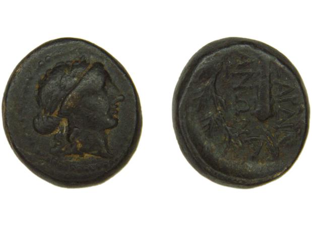 Sardis Hochard 2020 4.10, реверс, bm