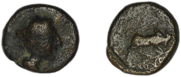 реверс Cibyra SNG Tübingen 4079-88