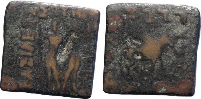 Diomedes of Bactria obv