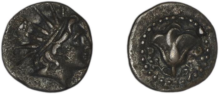 Rhodes BMC Rhodes 309-11, реверс, bm