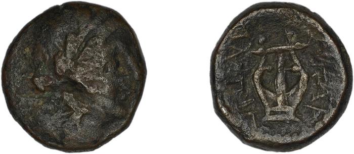 реверс Halicarnassus BMC Halicarnassus 62-65
