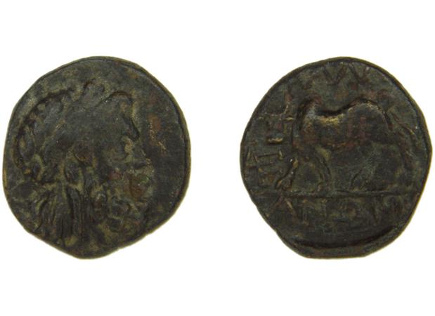Tralles BMC Tralles 63-5, реверс, bm