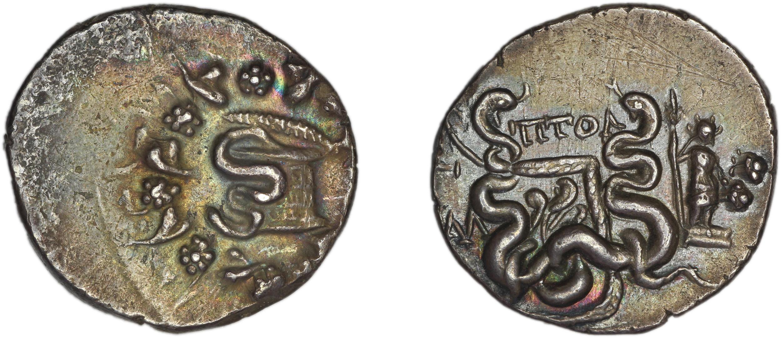 Tralles Carbone 2020 XXXII, tetradrachms, аверс, bm