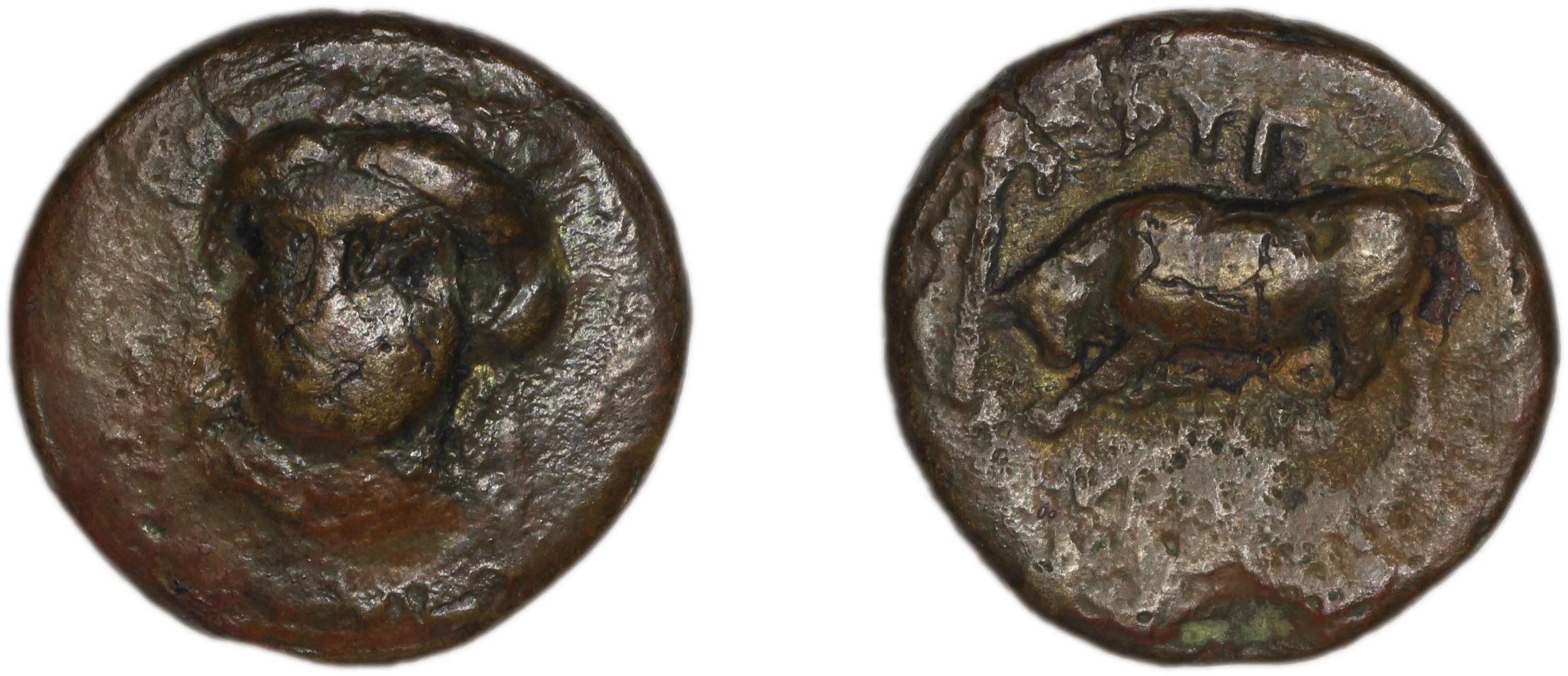 Phygela Regling 1922 Group IV, аверс, bm