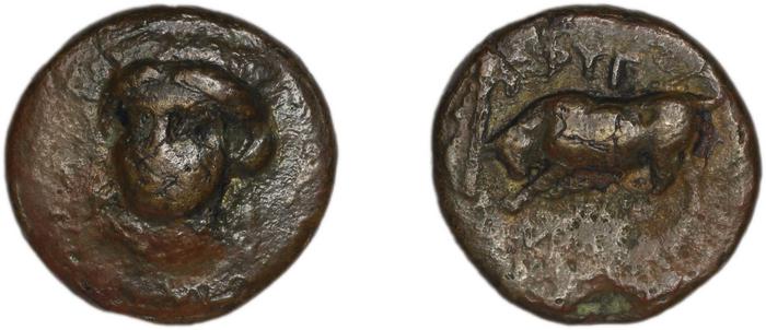 Phygela Regling 1922 Group IV, реверс, bm