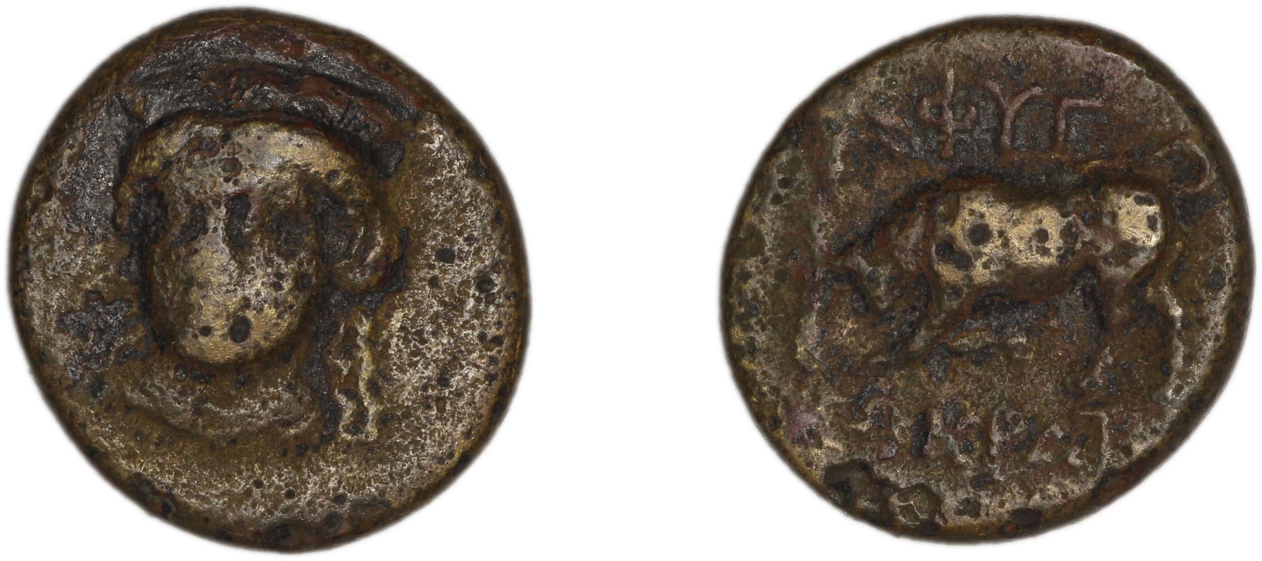 Phygela Regling 1922 Group IV, аверс, bm