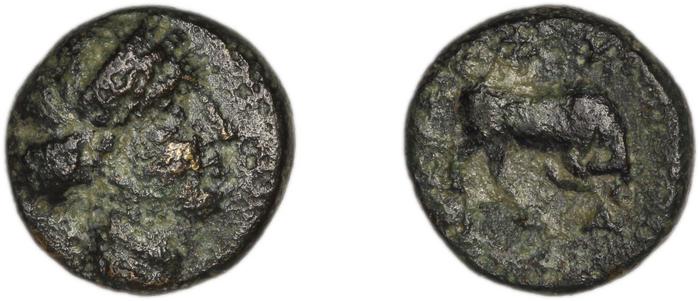 Phygela Regling 1922 Group III, реверс, bm