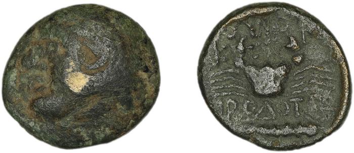 Cos Stefanaki 2012 7.24, реверс, bm