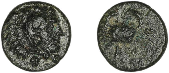 Cos Stefanaki 2012 6.16, реверс, bm