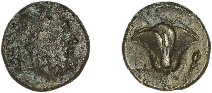Rhodes Ashton 2001 234-8, реверс, bm