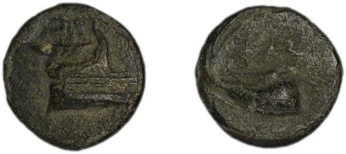 реверс Phaselis Heipp-Tamer 1993 AE 1