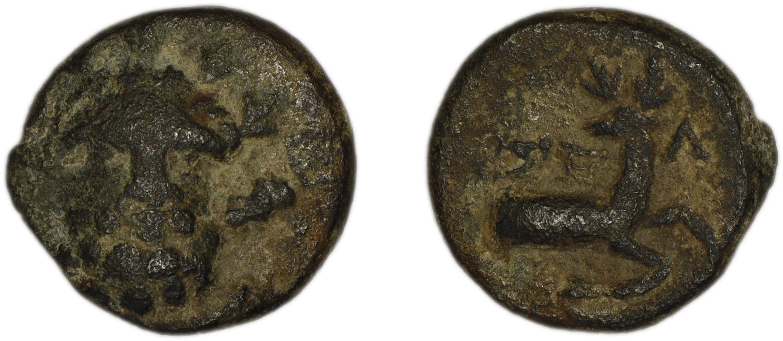 Selge SNG Paris 1969-77, аверс, bm