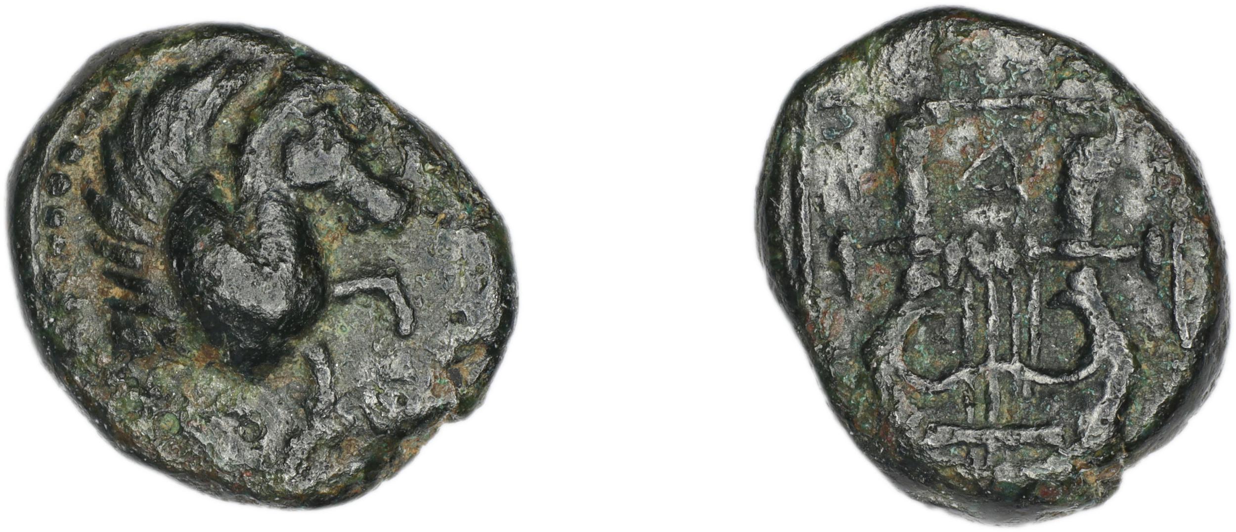 Halicarnassus Ashton 2006 pl. 2, 16, аверс, bm