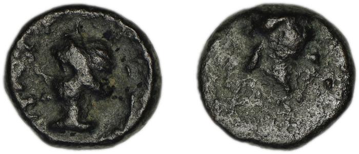 Patara Tek 2006 2, реверс, bm